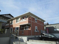 ミニヨン ヴィオラの画像