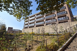 ザ・岡本プレミアム