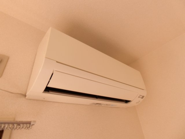 ロイヤルシングルのその他