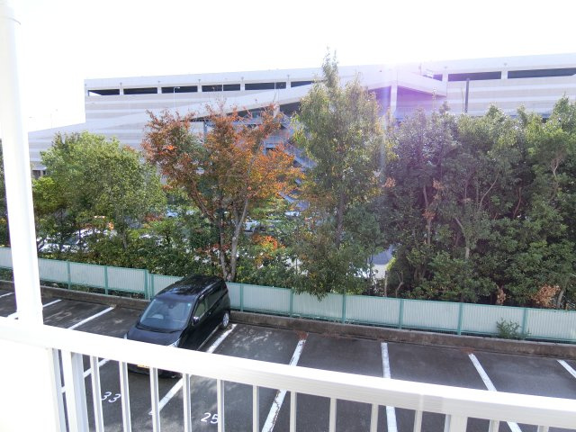 ロイヤルシングルの展望