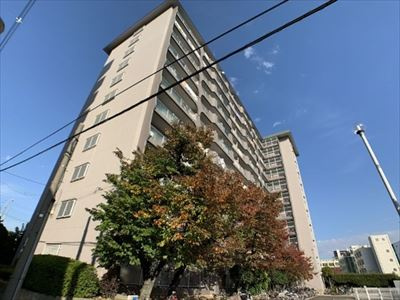 【外観】 | 城北ハイツ2号館 | ◎大阪メトロ長堀鶴見緑地線「今福鶴見」駅より徒歩6分と駅近です！！
◎スーパーが近くてお買い物至便な環境ですね♪
◎南向きバルコニーで陽当り、採光、通風、全て良好ですよ♪