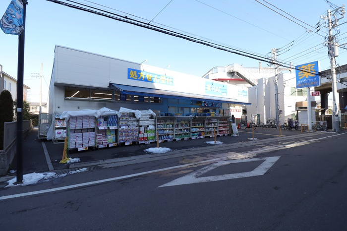 フルーヴの周辺|ハックドラッグ京王稲田堤駅前店