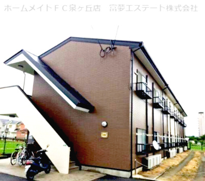 アムール もみの木