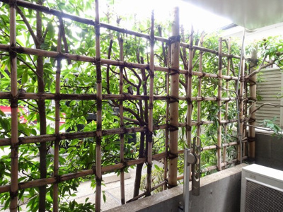 【展望】 | カサ・デ・ソル