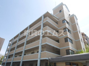 ビジネス・ワン板付の画像