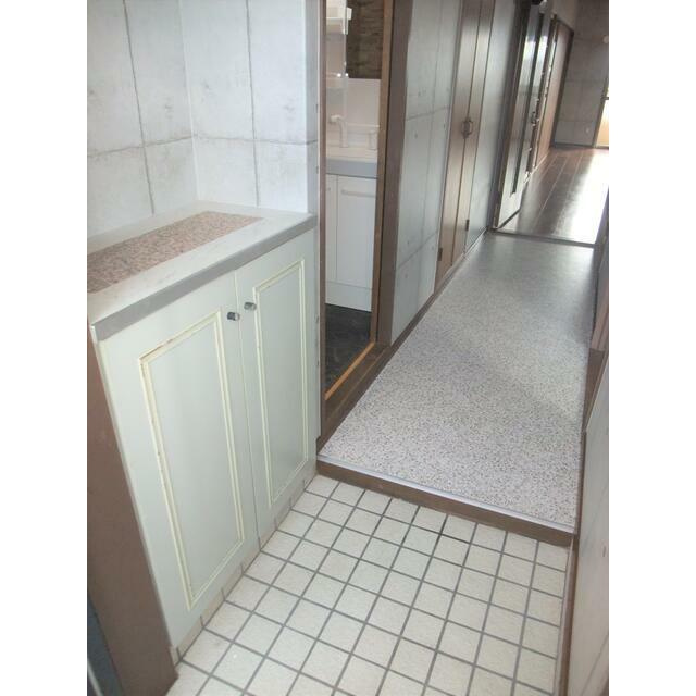 熊本市南区田迎３丁目の賃貸マンションの玄関