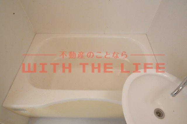 メゾン岩橋【キャッシュバック対象物件】の浴室|ゆったり過ごせるお風呂です