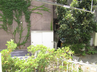 【周辺】 | 緑豊かです。