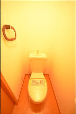 【トイレ】 | ウエストコート昭島 | 落ち着いたトイレです