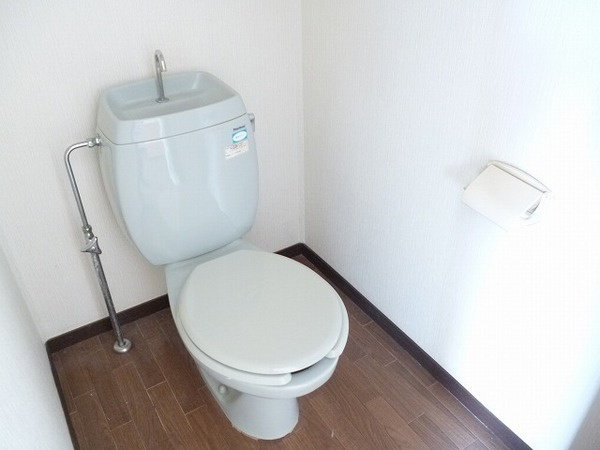 ホワイトハイツAのトイレ