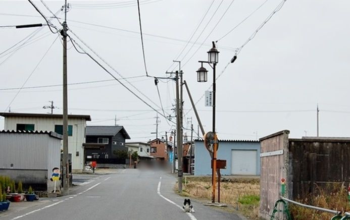 守山市小浜町　売土地の前面道路含む現地写真
