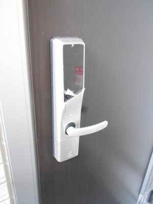 【その他】 | ルミナス