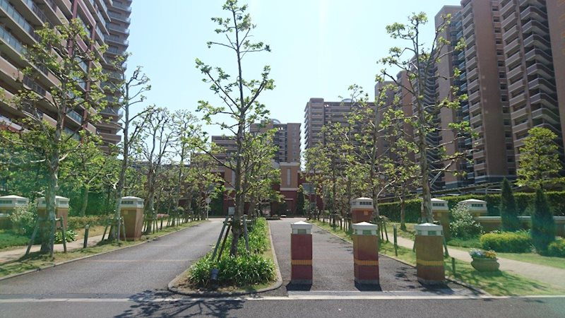 の-の画像