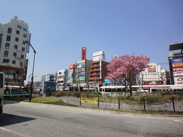 フェリスカロルの周辺