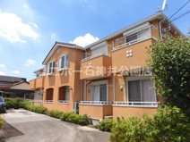 フラットコートＢの画像