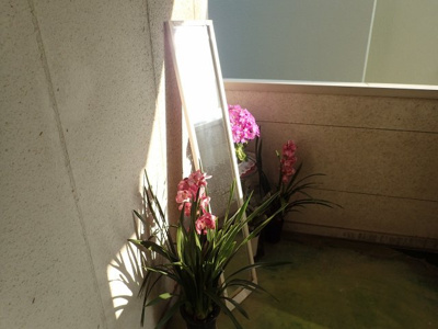 【その他】 | アークハイツ渡部