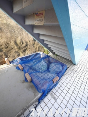 【その他共用部分】 | ベルアズーリ