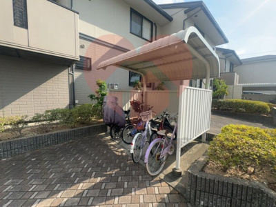  | ブランドール