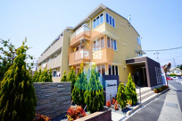 Lemons蓮正寺の画像