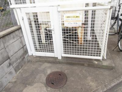 コーポ二条のその他共用部分|ゴミ捨て場