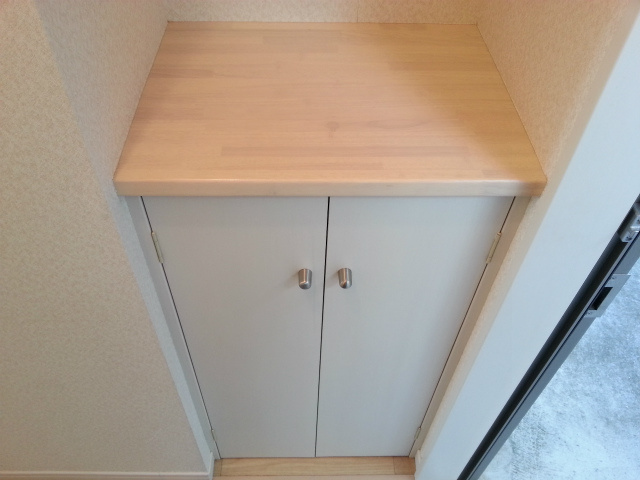 ドムスソラリスのその他|玄関にはシューズボックスがあるので、広く使えますよ