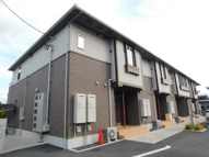 グレーシア・Nの画像