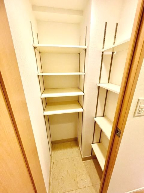 レジディア御茶ノ水の玄関|※写真は同タイプの別室になります