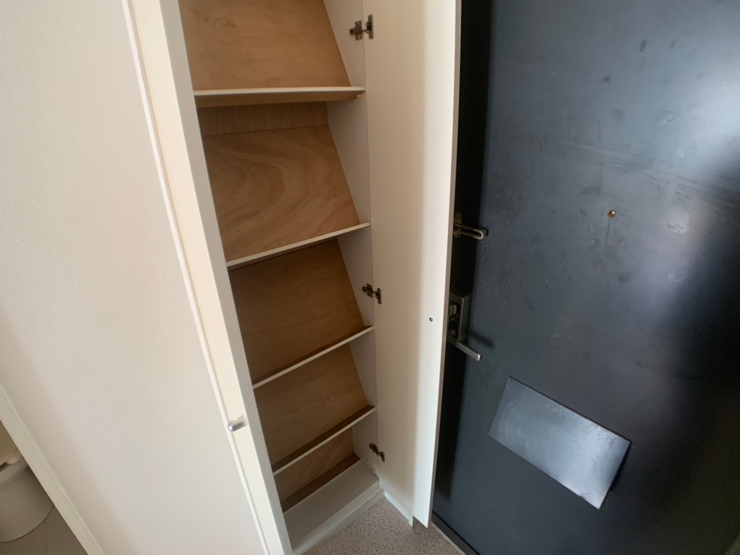 ANEMOS　(近大　一人暮らし)の玄関