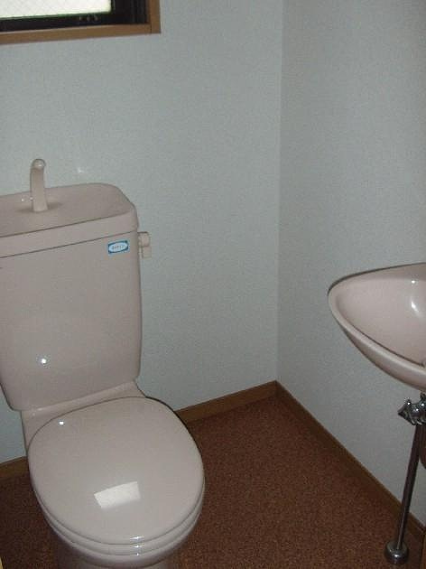 ダイナコートグランドエスタディオ　５階のトイレ|別号室のものです。現状優先です。
