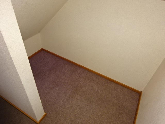 クレストール山地Bの収納|階段下収納