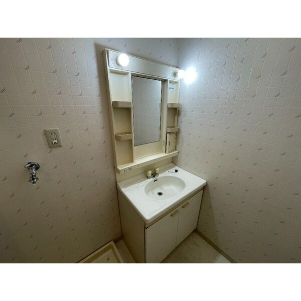 ラーク安田PARTⅡの洗面所|独立洗面台