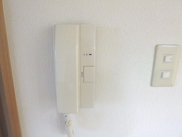 グリーンマンション【キャッシュバック対象物件】のセキュリティ