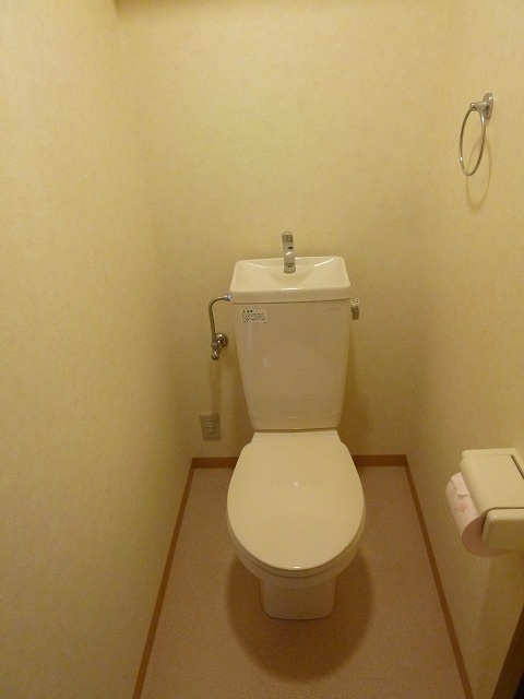 グリーンマンション【キャッシュバック対象物件】のトイレ|シンプルで使いやすいトイレです