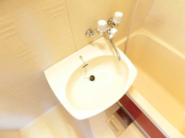 ラグレース金剛の洗面所