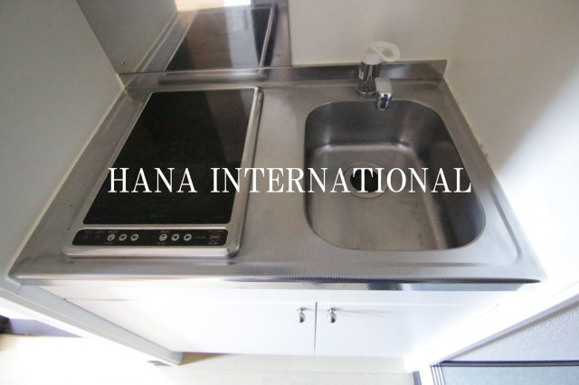 レオネクスト習志野台のキッチン