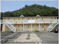 ニューエレガンスの画像