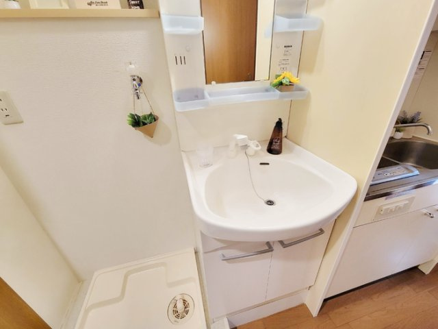 ツインステージ南花屋敷の洗面所