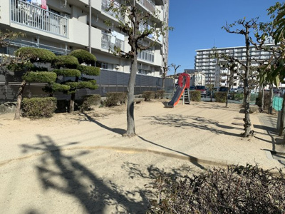 【周辺】 | 明南住宅一号棟 | 敷地の入り口にアラカシ公園♪