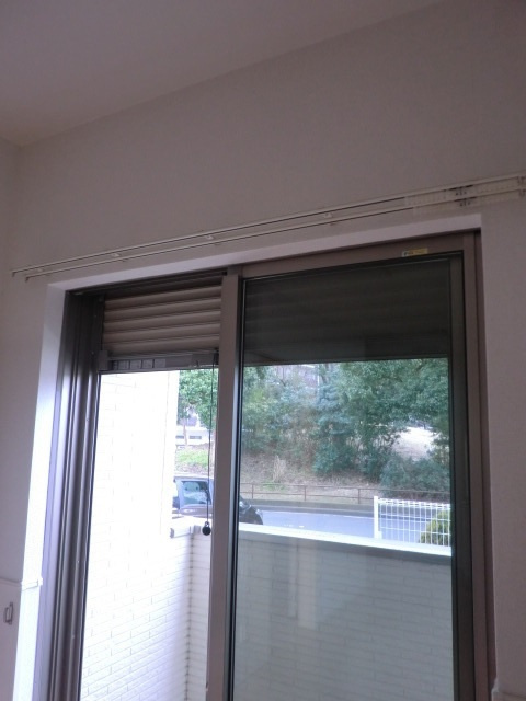 ベル　ウッドのその他