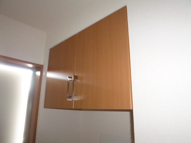 センチュリーカーサのその他
