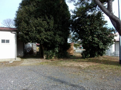  | 大田原市新富町3丁目　1650万円　土地