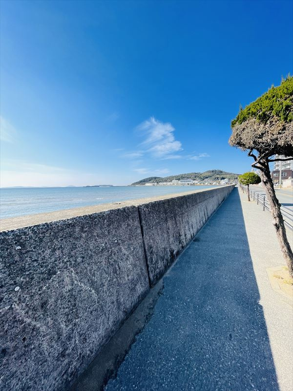 ファーネスト津屋崎ベイシティの周辺