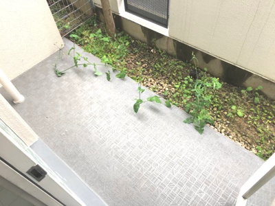 【庭】 | 東灘本庄町アーバンコンフォート