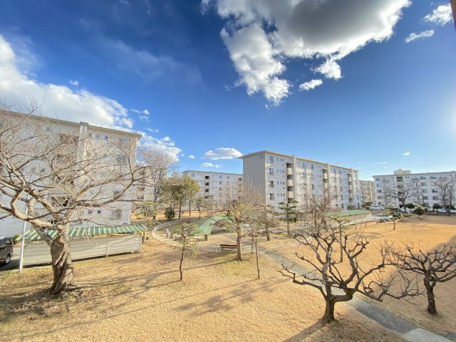 の-の画像