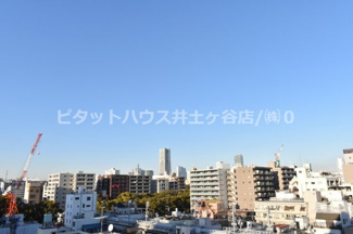 【展望】