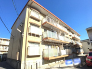 Ｍｉｔｓｕｒｕの画像