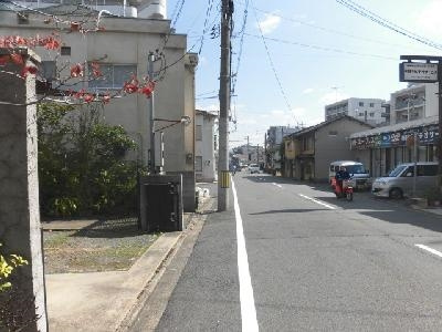 ハイツモナークの周辺|前面道路