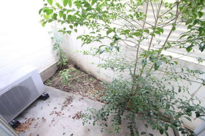 【庭】 | ロワール青江