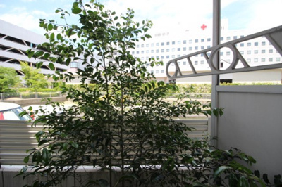 【展望】 | ロワール青江