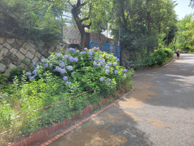 【周辺】 | 赤坂通8丁目A号地 | 王子公園外周